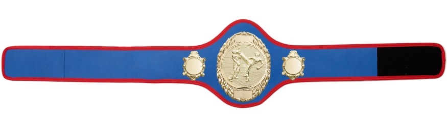 KICKBOXING CHAMPIONSHIP BELT-PRO286/G/KBOG-10+ COLOURS